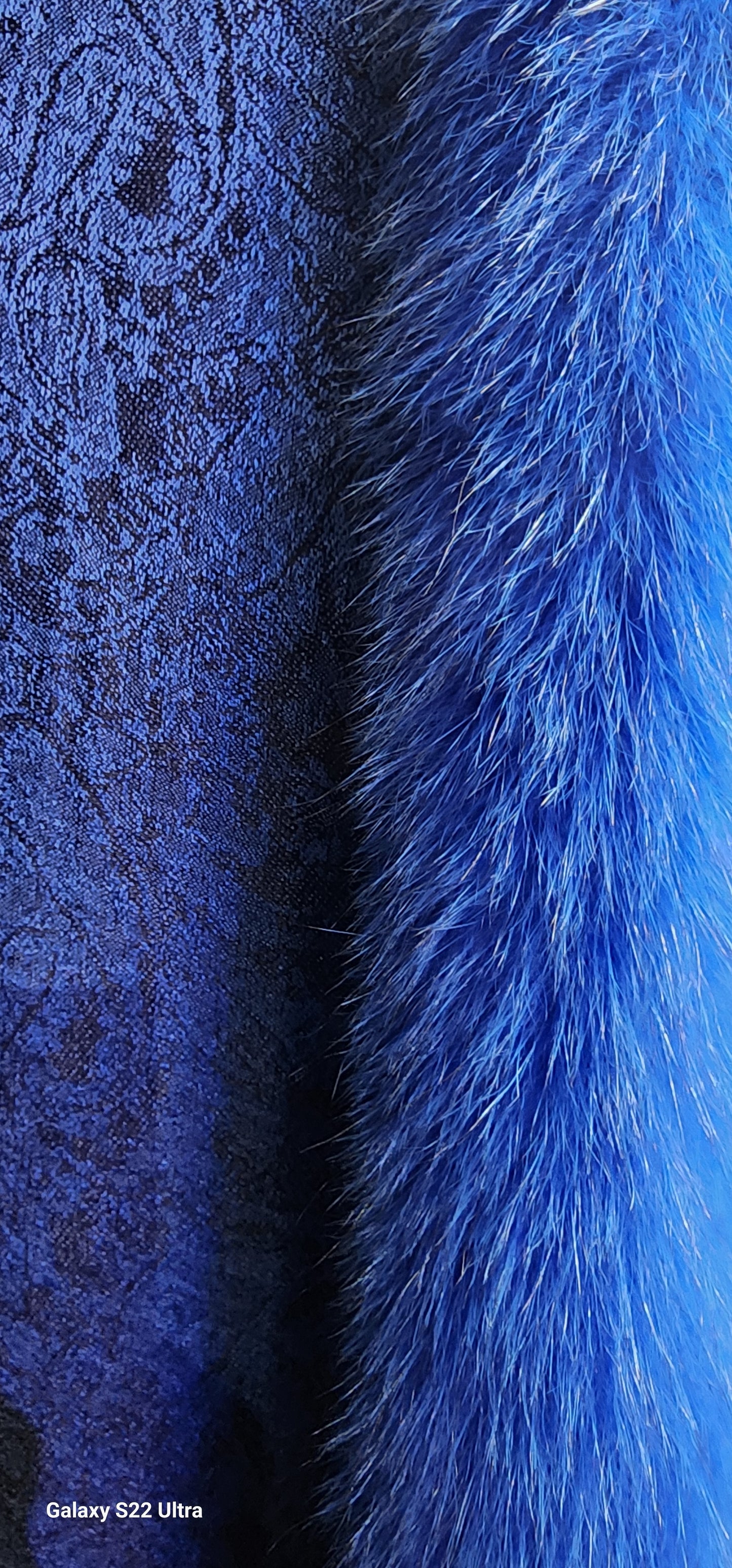 Shawl Cobalt Blue