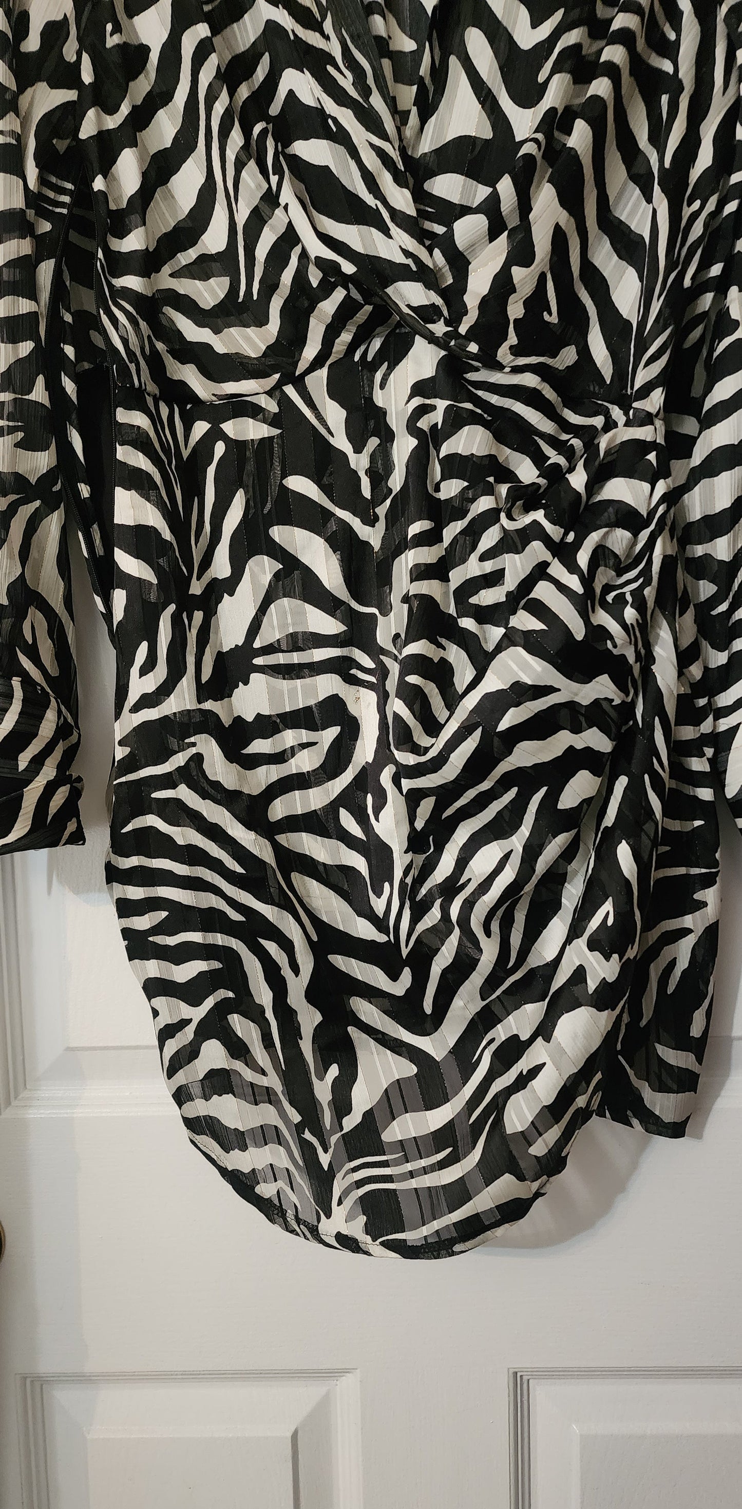 One-of-a-kind  zebra mini shirt dress